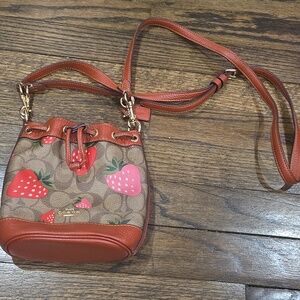 Coach Strawberry Dempsey Mini Bucket Bag